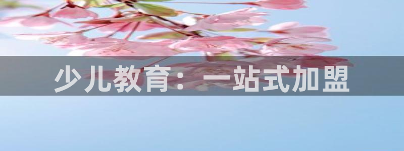 鸿运和拍拍卖平台
