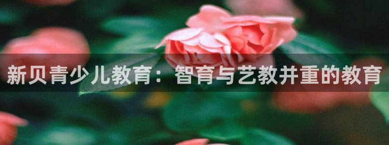 鸿运钱包平台正规吗