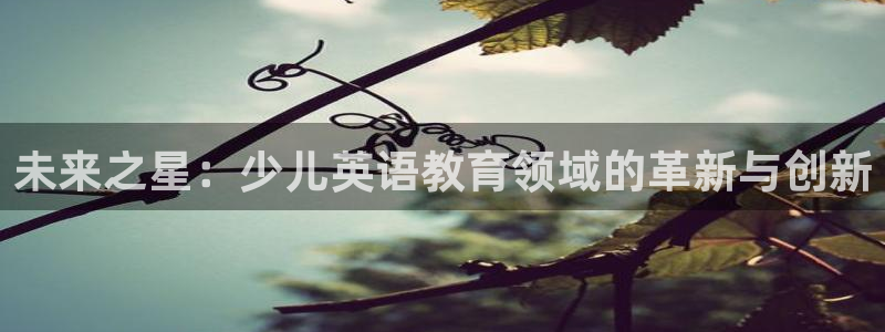 鸿运首选投资平台