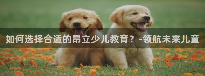 鸿运app直播平台