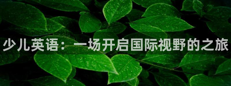 鸿运公司有哪些平台
