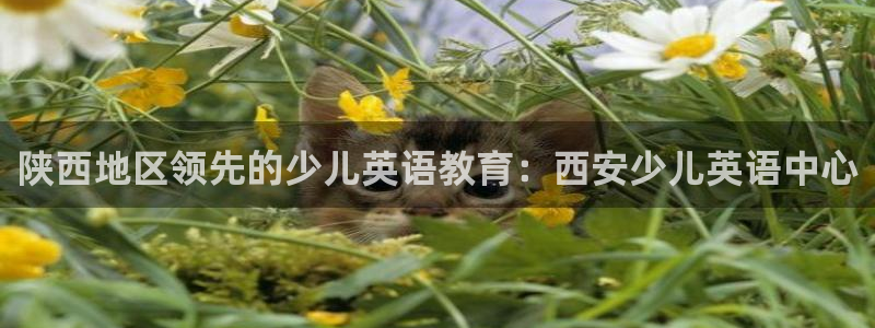 鸿运平台有哪些