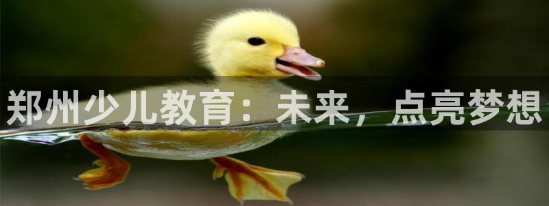 鸿运体彩平台