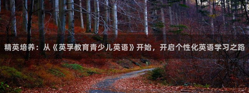 鸿运升降机械平台