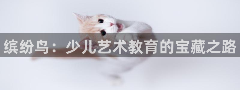 鸿运电商平台