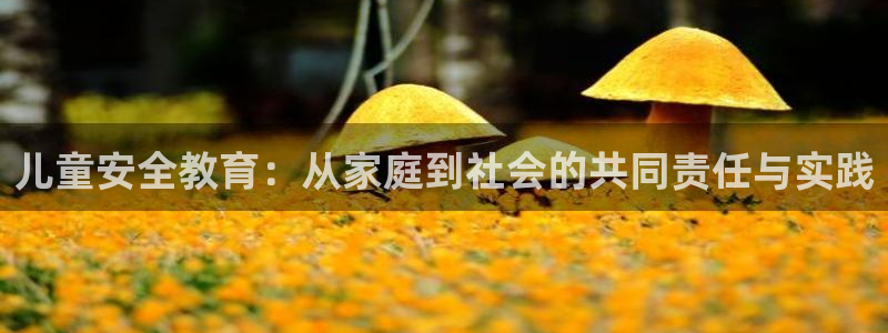 鸿运当头借贷平台