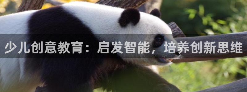 鸿运十三张充值平台