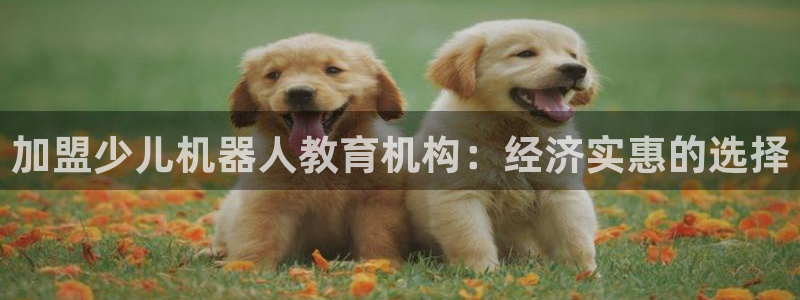 鸿运小说阅读平台