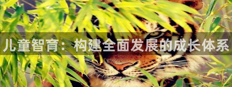 鸿运充值平台