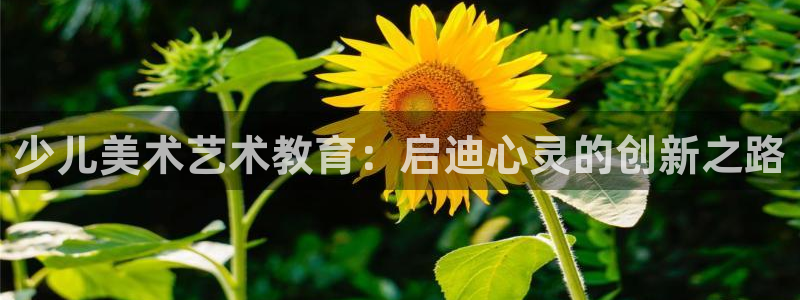 鸿运中国平台