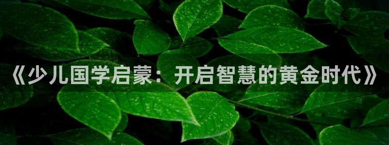 鸿运集团平台招聘信息