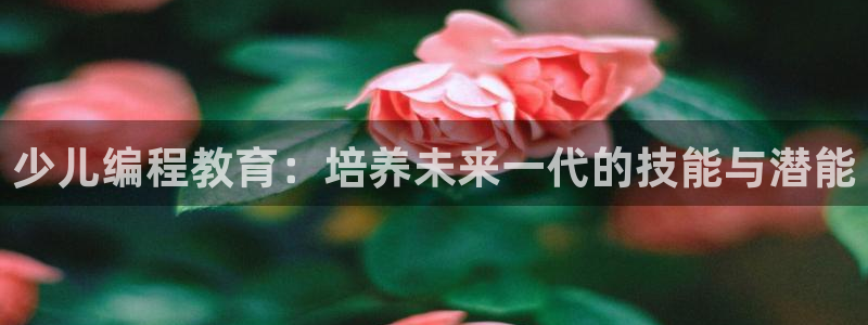 鸿运满堂网上平台