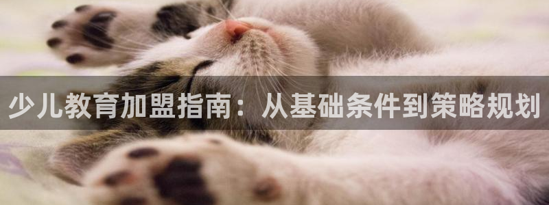 鸿运北斗监控平台