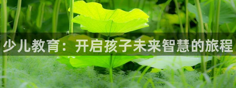 鸿运最佳网投平台