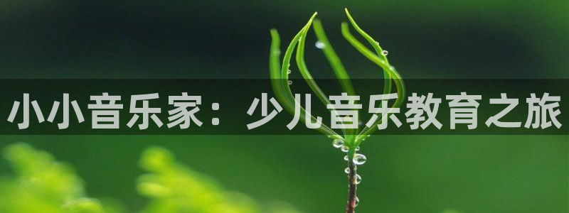 鸿运手机棋牌平台