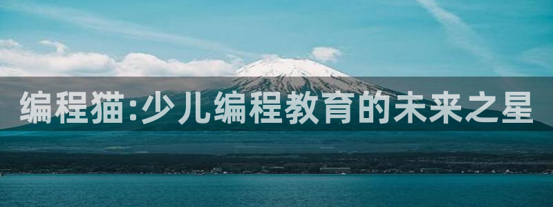鸿运链锁管理平台