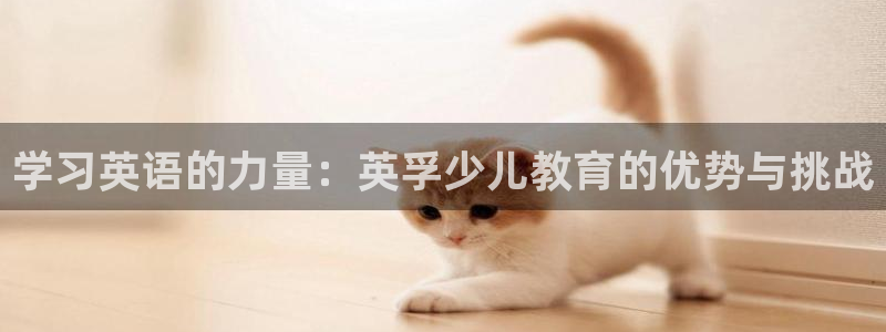 鸿运当头借款平台