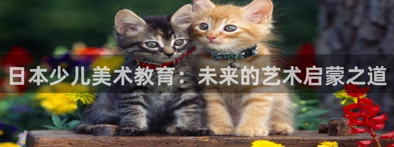 鸿运娱乐代理平台