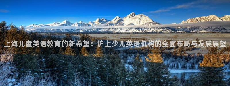 鸿运锦囊是什么平台