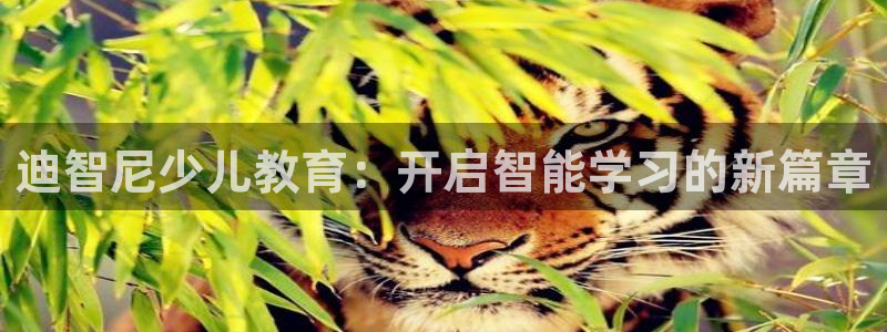 鸿运来是什么平台