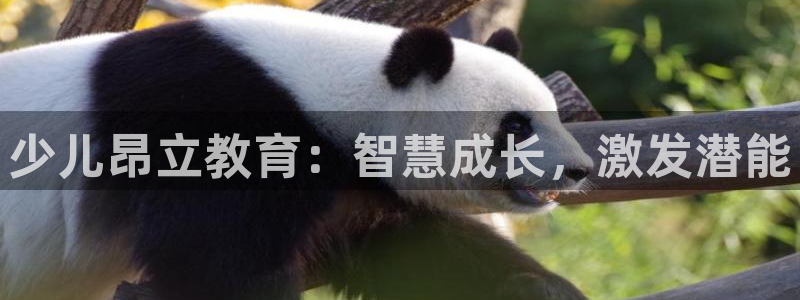 鸿运汽车团购平台