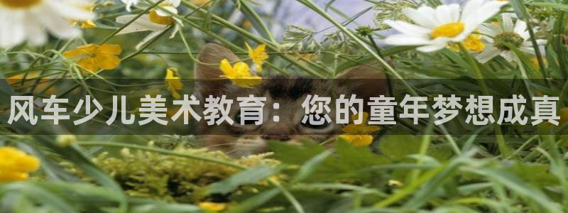琥珀鸿运平台靠谱吗
