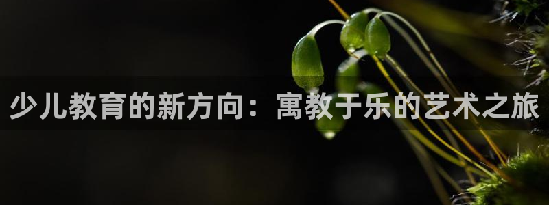 鸿运直播平台游戏