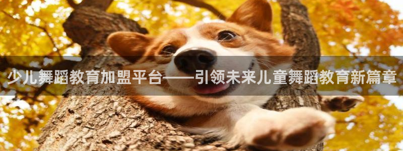 鸿运棋牌直播平台