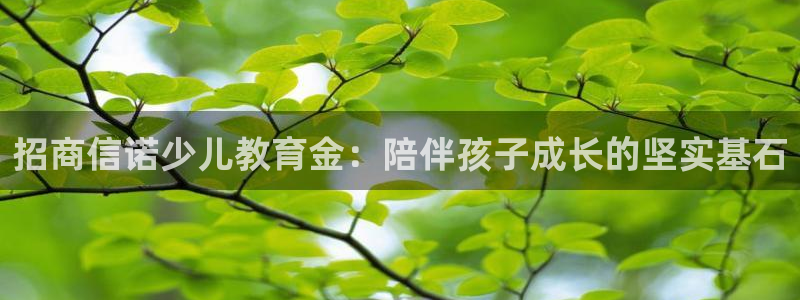鸿运抽奖是什么平台
