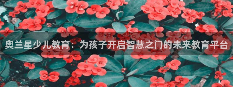 鸿运华宁技术平台