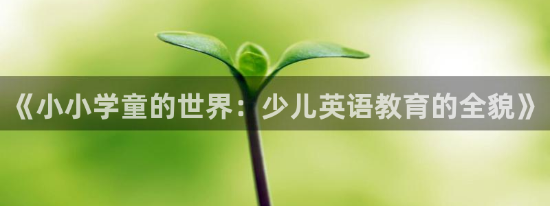 双平台鸿运当头