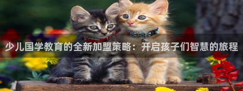 鸿运商城珠宝平台