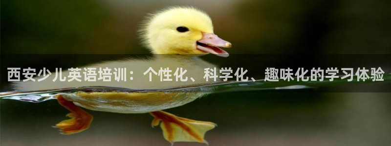 鸿运是黑平台吗