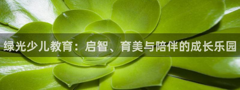 鸿运网站平台