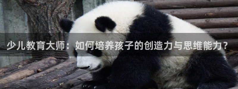 焦作鸿运团体直播平台