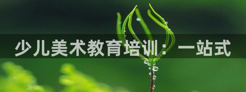 鸿运北斗监控平台