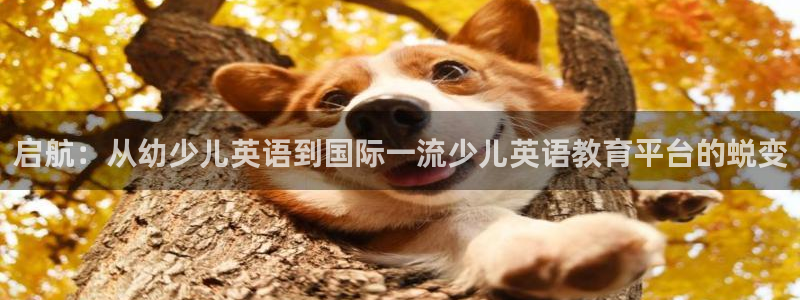 鸿运平台被黑