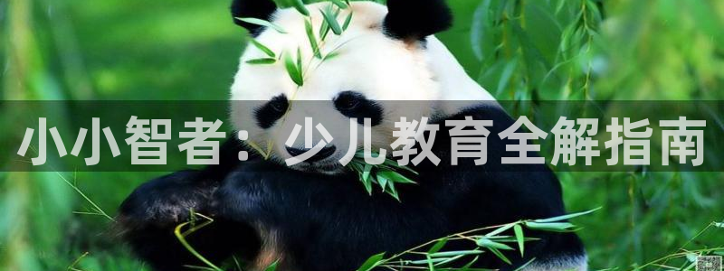李鸿运开直播平台