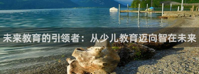 鸿运福星缴费平台
