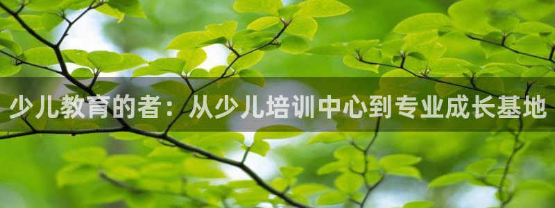 琥珀鸿运平台推广码