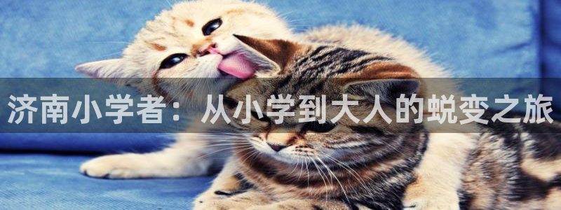 鸿运娱乐平台