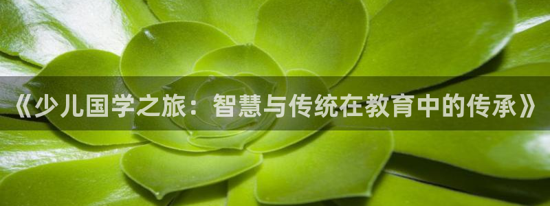 鸿运平台台