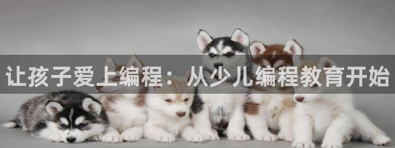 鸿运手机棋牌平台