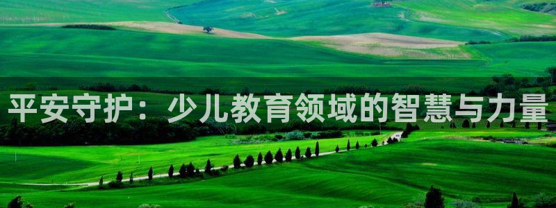 正规鸿运国际平台