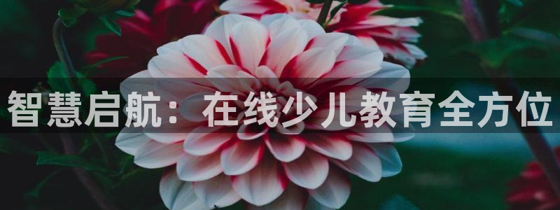 鸿运是哪里平台