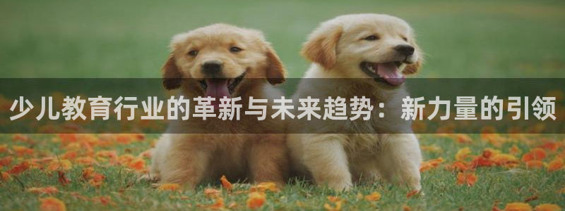 鸿运平台代理台