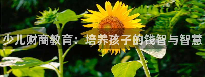 鸿运工厂直播平台