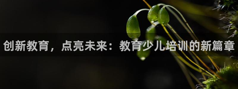 鸿运平台审核需要多久