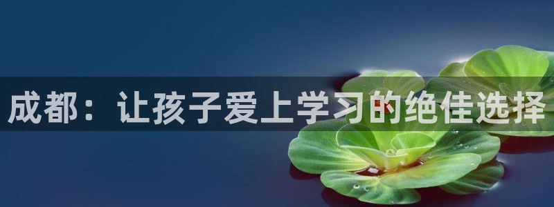 鸿运平台怎么注册