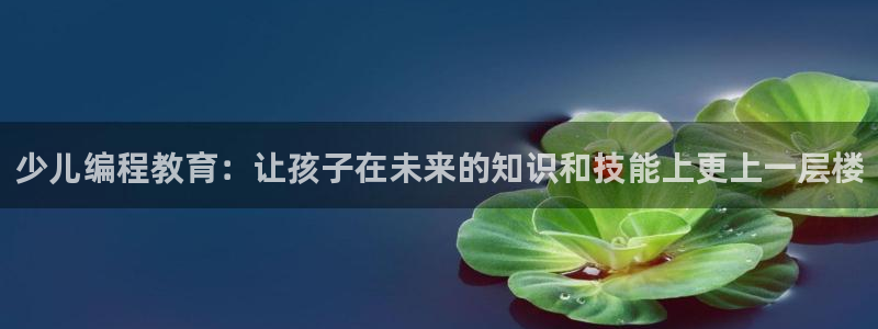 琥珀鸿运平台挣钱真实吗